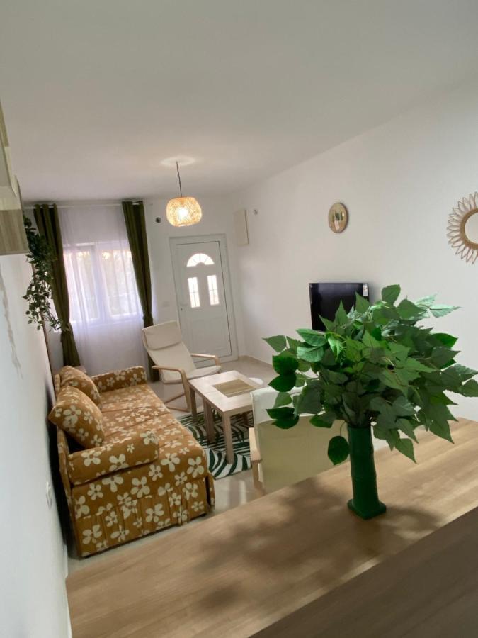 Kotor Apartman Green Sailor Dış mekan fotoğraf